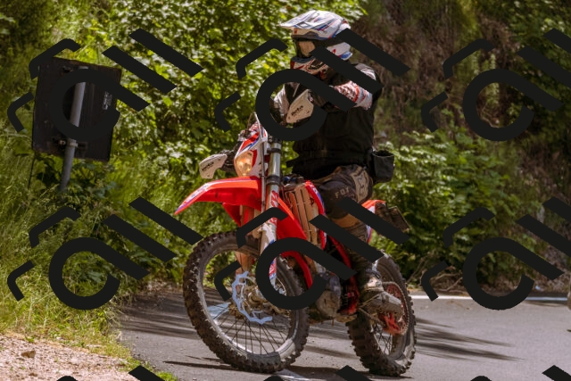 202506151202-_DSC9859_d1_