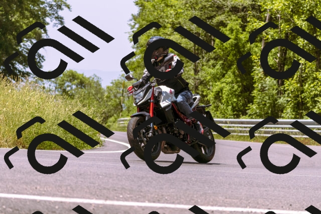 202506151204-_DSC9861_d1_