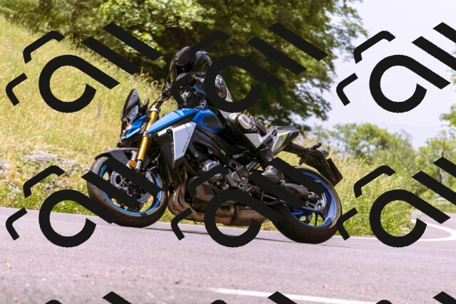 202506151205-_DSC9865_d1_