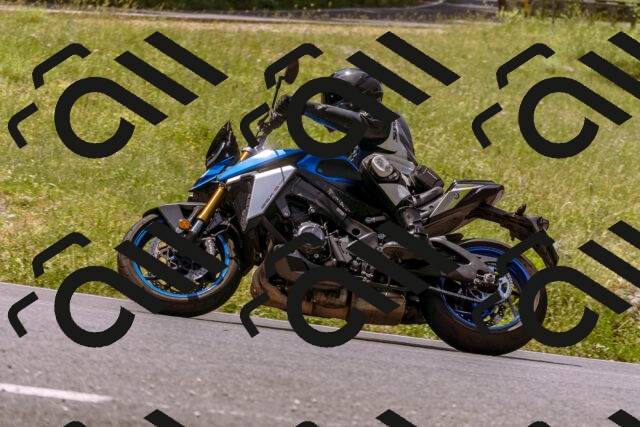 202506151205-_DSC9866_d1_