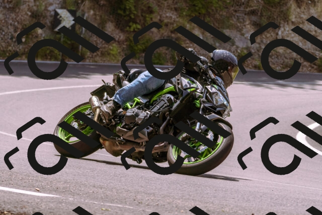 202506151206-_DSC9870_d1_