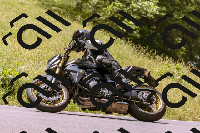 202506151206-_DSC9873_d1_