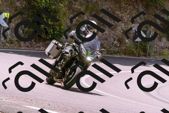 202506151208-_DSC9878_d1_