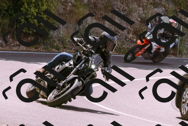 202506151208-_DSC9881_d1_