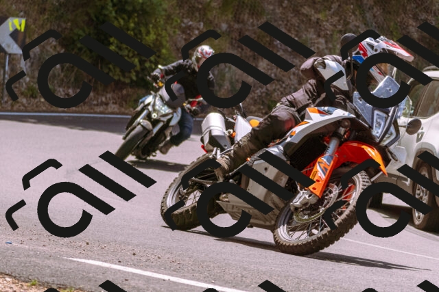 202506151208-_DSC9884_d1_