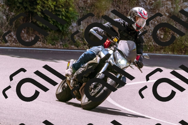 202506151208-_DSC9885_d1_