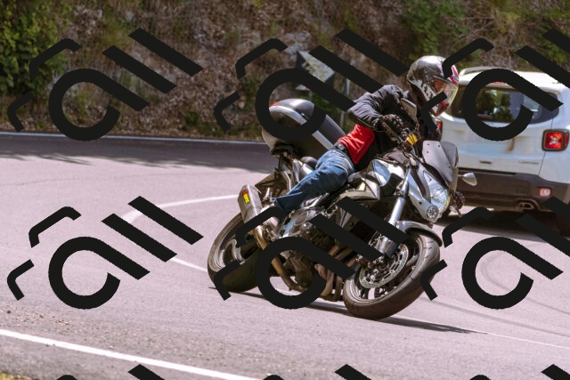 202506151208-_DSC9886_d1_