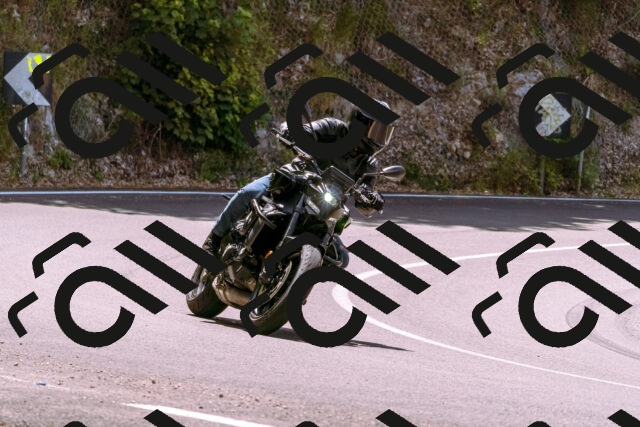 202506151208-_DSC9887_d1_