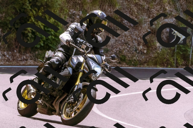 202506151216-_DSC9904_d1_