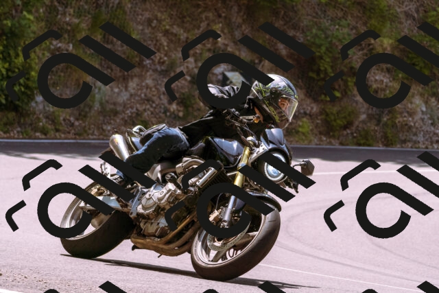 202506151216-_DSC9905_d1_