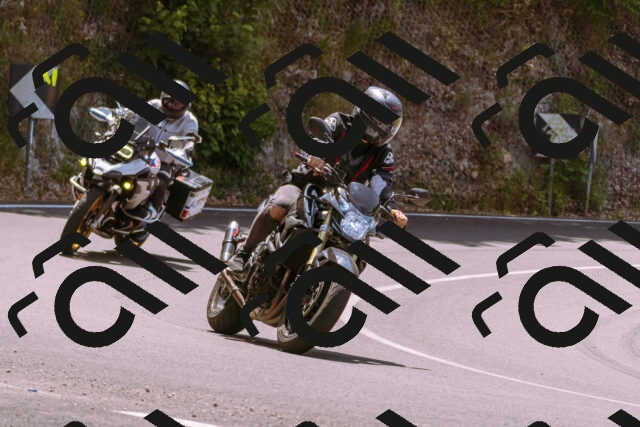 202506151216-_DSC9908_d1_