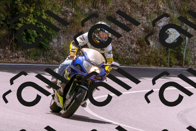 202506151216-_DSC9914_d1_