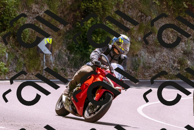 202506151216-_DSC9916_d1_