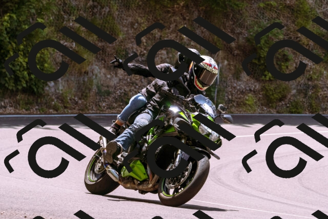 202506151216-_DSC9918_d1_