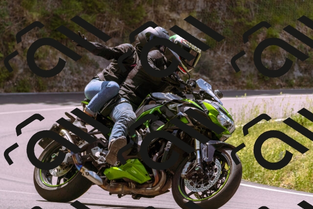 202506151216-_DSC9919_d1_