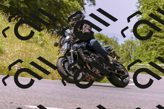 202506151217-_DSC9924_d1_