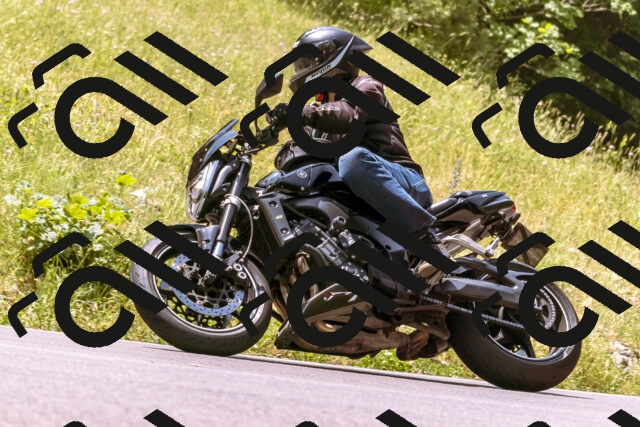 202506151217-_DSC9925_d1_