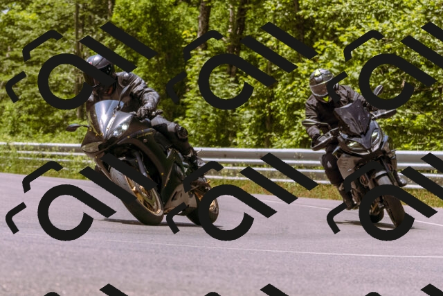 202506151217-_DSC9926_d1_