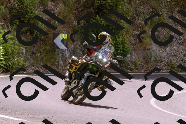 202506151217-_DSC9932_d1_