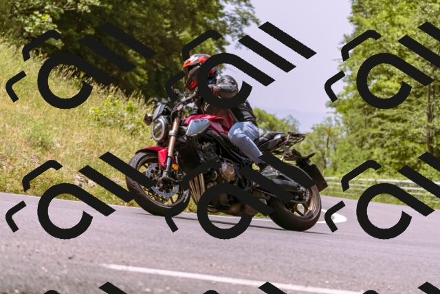 202506151218-_DSC9934_d1_