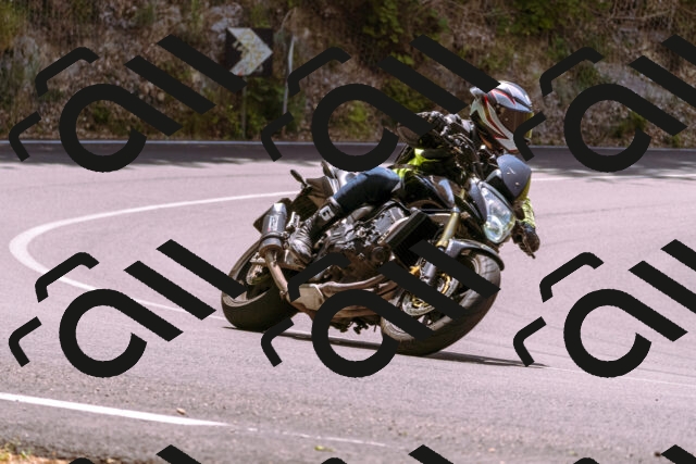 202506151224-_DSC9958_d1_