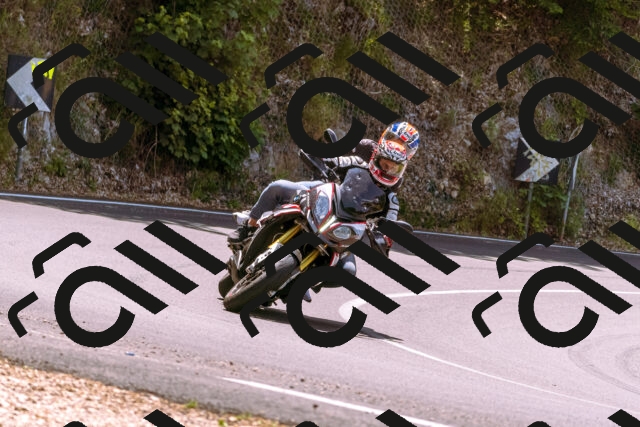 202506151224-_DSC9961_d1_