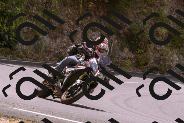 202506151224-_DSC9962_d1_