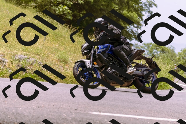 202506151228-_DSC9976_d1_