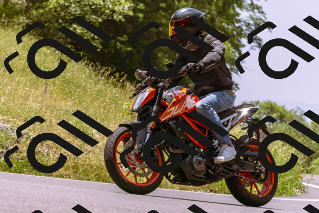 202506151228-_DSC9979_d1_