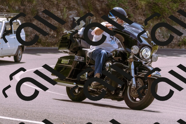 202506151229-_DSC9983_d1_