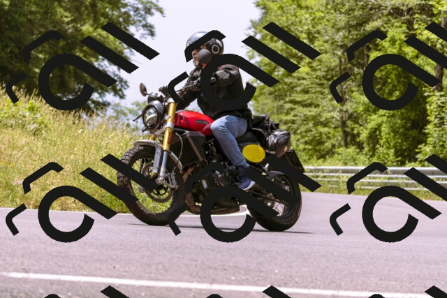 202506151230-_DSC9988_d1_