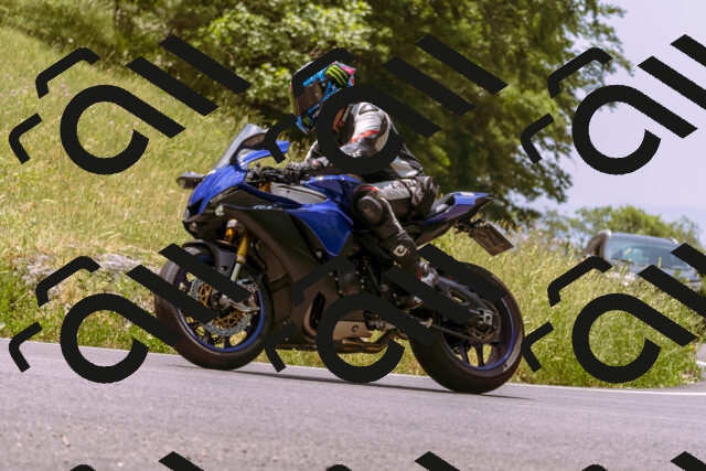 202506151234-_DSC9994_d1_