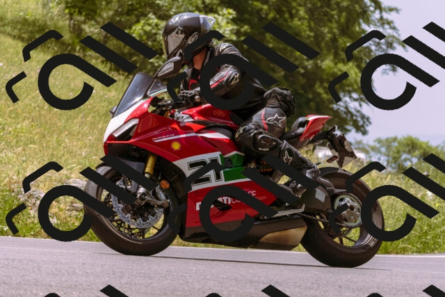 202506151234-_DSC9996_d1_