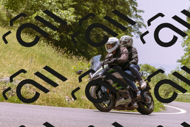 202506151236-_DSC0005_d1_