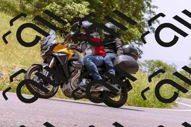 202506151236-_DSC0010_d1_