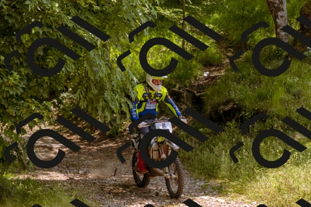 202506151245-_DSC0056_d1_