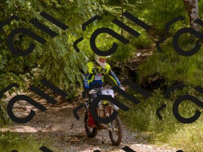 202506151245-_DSC0056_d1_