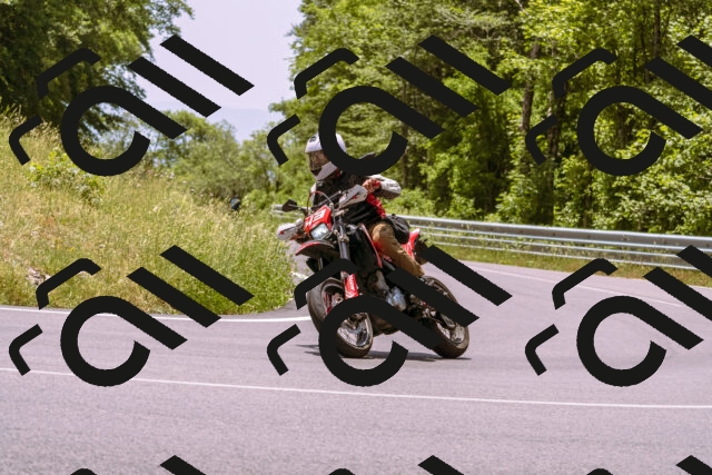 202506151251-_DSC0091_d1_