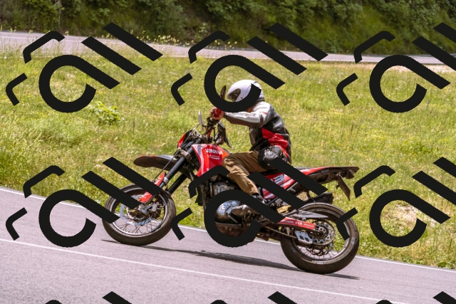 202506151251-_DSC0094_d1_