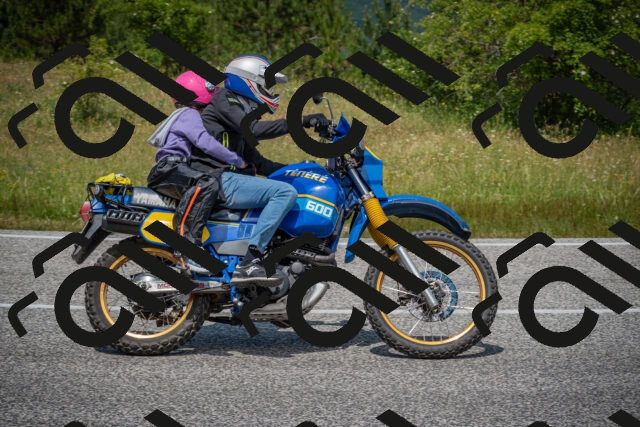 20250622123641-_5002826_am_