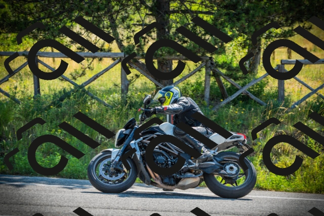 202506211005-DSC01875_c1_