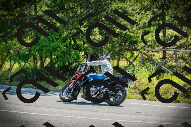 202506211048-DSC02017_c1_