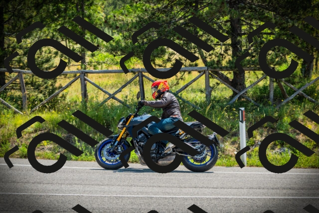 202506211057-DSC02042_c1_