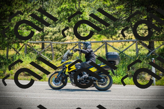 202506211058-DSC02052_c1_