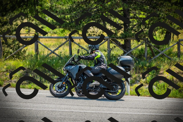 202506211112-DSC02145_c1_