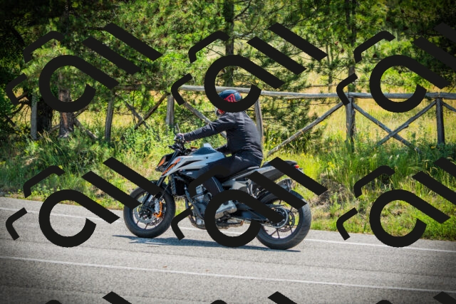 202506211126-DSC02199_c1_