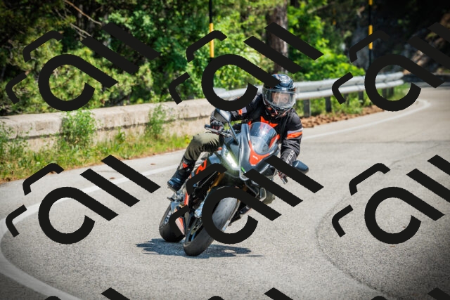 202506211127-DSC02201_c1_