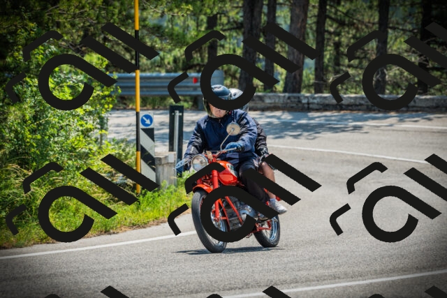 202506211129-DSC02210_c1_