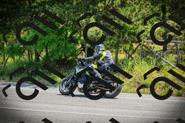 202506211130-DSC02230_c1_