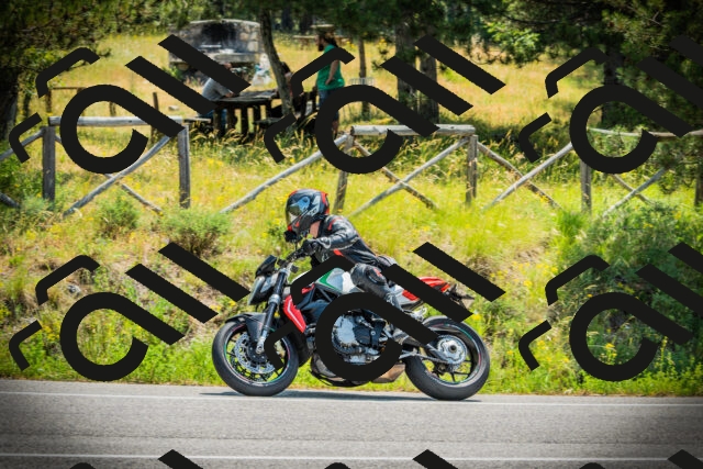 202506211137-DSC02309_c1_